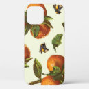 Search for mandarin iphone cases Illustration