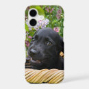 Search for black labrador iphone cases Funny