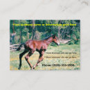 Search for foal business cards Horse