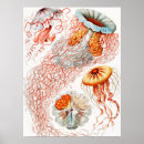 Search for forms posters Ernst haeckel