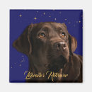 Search for labrador magnets Chocolate lab