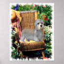 Search for dandies posters Dog