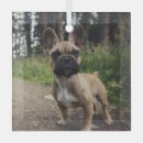 Search for french bulldog christmas tree decorations Pet