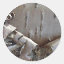 Search for birch tree stickers Country