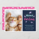 Search for kitties christmas cards Pet