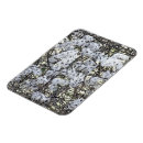 Search for clematis magnets Pretty