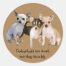 Search for chihuahua mom stickers Chihuahuas