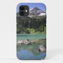 Search for peak iphone cases Reflection