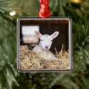 Search for baby lamb christmas tree decorations Farm animal