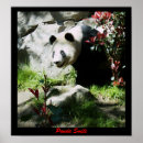 Search for panda posters Black