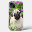 Search for pug puppy iphone cases Dog
