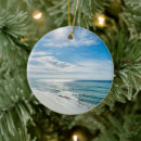 Search for panama christmas tree decorations Tropical