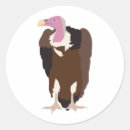 Search for vulture stickers Nature