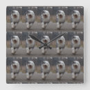 Search for old english sheepdog art Bobtail