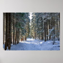Search for tatras mountains posters Poland