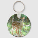 Search for fawns key rings Wild