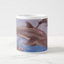 Search for dolphin coffee mugs Sea life