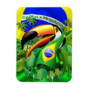 Search for toucan magnets Jungle