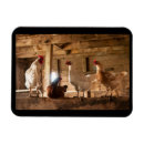 Search for chicken magnets Humour