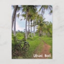 Search for biked postcards Tropical