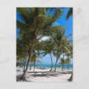 Search for resort postcards Usa