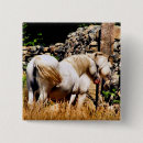 Search for ponys badges Ponies