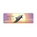Search for dolphins return address labels Tropical