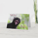 Search for black cat thank you cards Photography