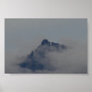 Search for highest posters Nature