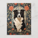 Search for border collie postcards Vintage
