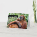 Search for ape pics cards Funny