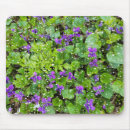 Search for violet spring flower mousepads Purple
