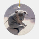 Search for staffordshire bull terrier christmas tree decorations Dog