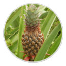 Search for pineapple knobs and pulls Exotic