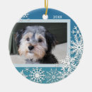 Search for cheerful christmas tree decorations Pet