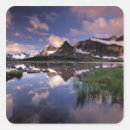 Search for jasper stickers Scenic