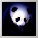 Search for panda face posters Animal