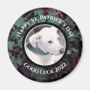Search for st patrick party magnets Irish