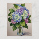 Search for blue hydrangea postcards Vintage