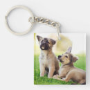 Search for german shepherd key rings Outdoors