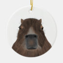 Search for capybara christmas tree decorations South america