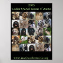Search for cocker posters Dog