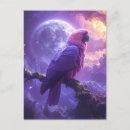 Search for fantasy birds postcards Parrot