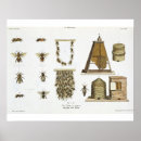 Search for 1868 art Fine