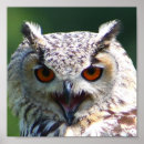 Search for baby eagle posters Cute