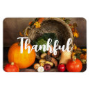Search for bountiful magnets Pumpkins