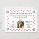 Search for puppies invitations For pets