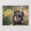 Search for funny animal birthday cards Dog lover birthday