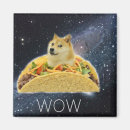 Search for doge magnets Meme
