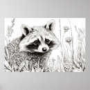 Search for racoon art posters Nature